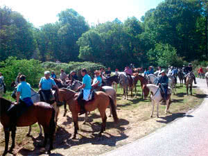Romería de los Paporros