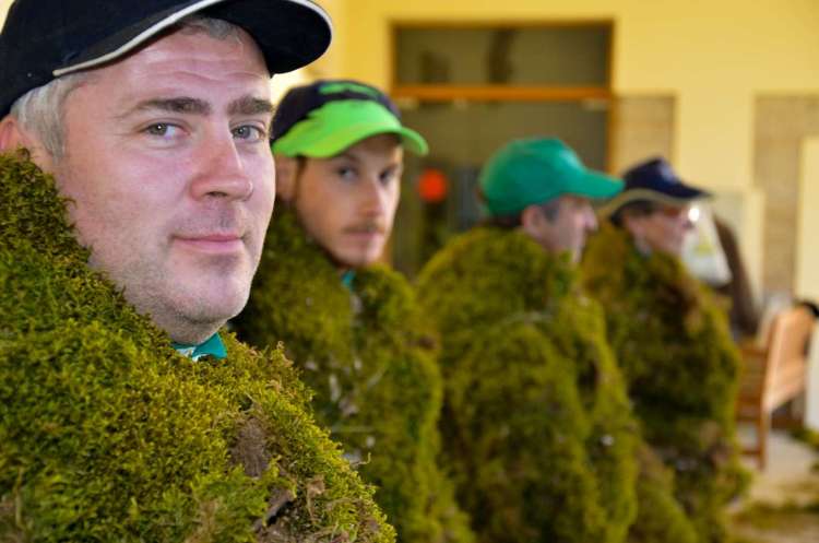 Hombres de musgo durante el proceso de colocación del musgo