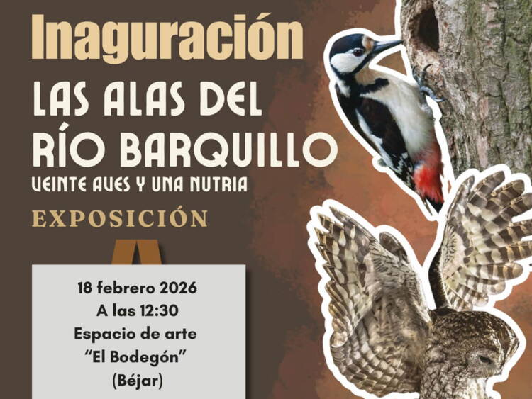 Cartel de la exposición ‘Las alas del río Barquillo’ en Béjar con aves y nutria