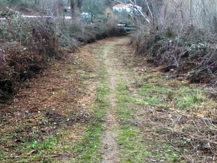 Camino de los Atajos en Candelario tras el desbroce realizado por el Ayuntamiento, con la maleza retirada a ambos lados del sendero