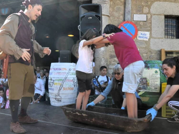 Varias personas pisan uvas durante la Fiesta de la Vendimia en San Martín del Castañar
