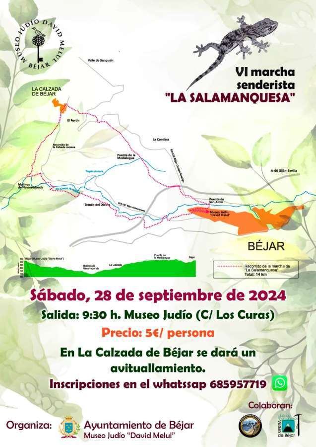 VI Marcha Senderista La Salamanquesa