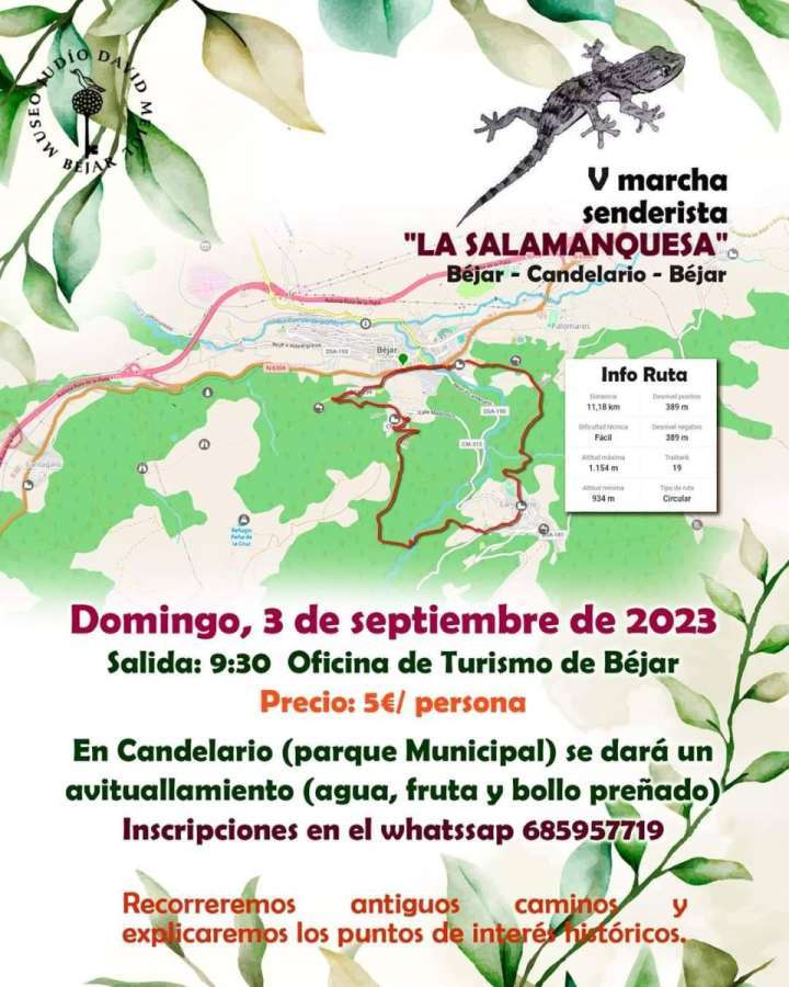 Cartel V marcha Senderista La Salamanquesa