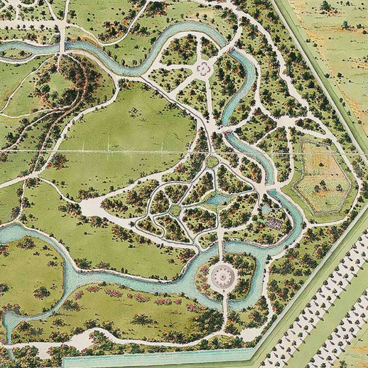 Plano Bosque de Béjar