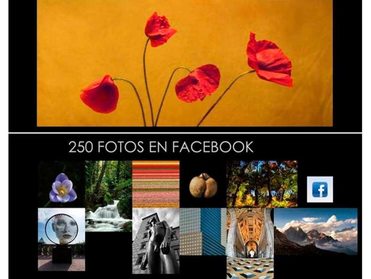 Vista parcial del cartel anunciador de la actividad