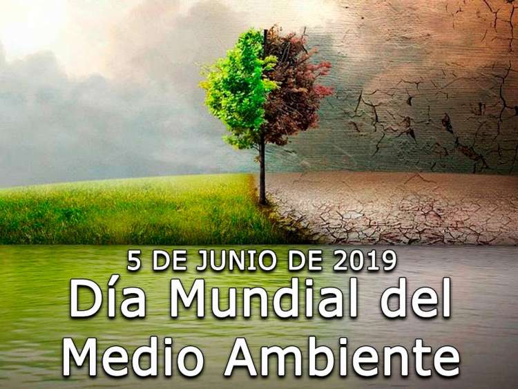 Vista parcial del Cartel anunciador de la actividad