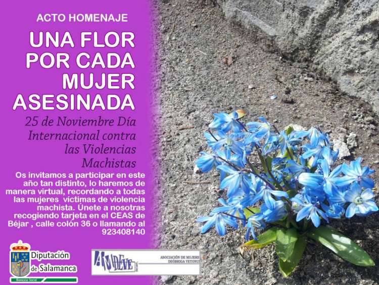 Cartel anunciador de la actividad