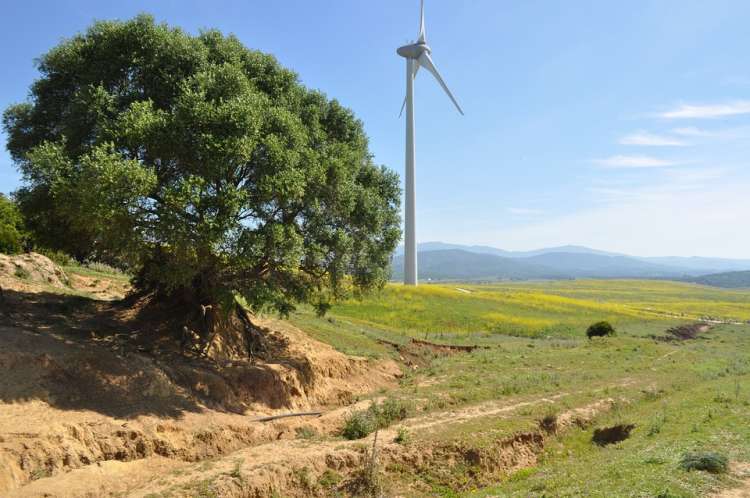 Energías renovables, aerogenerador en el campo