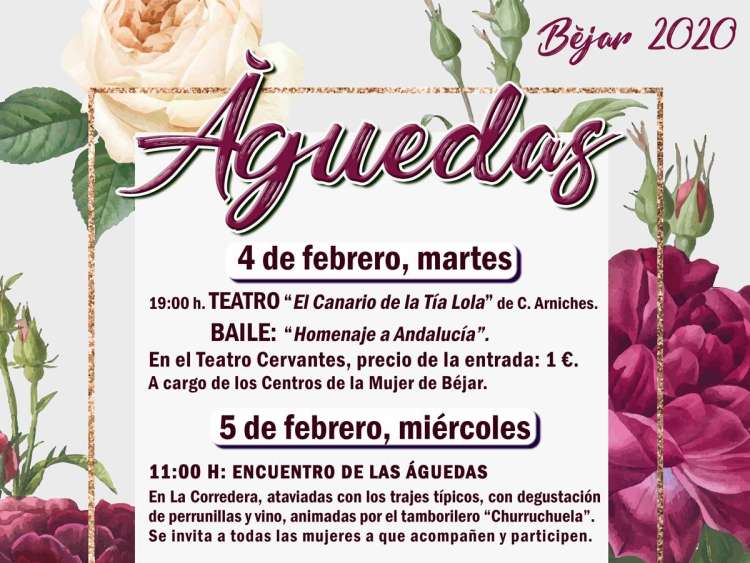 Vista parcial del Cartel anunciador de la actividad