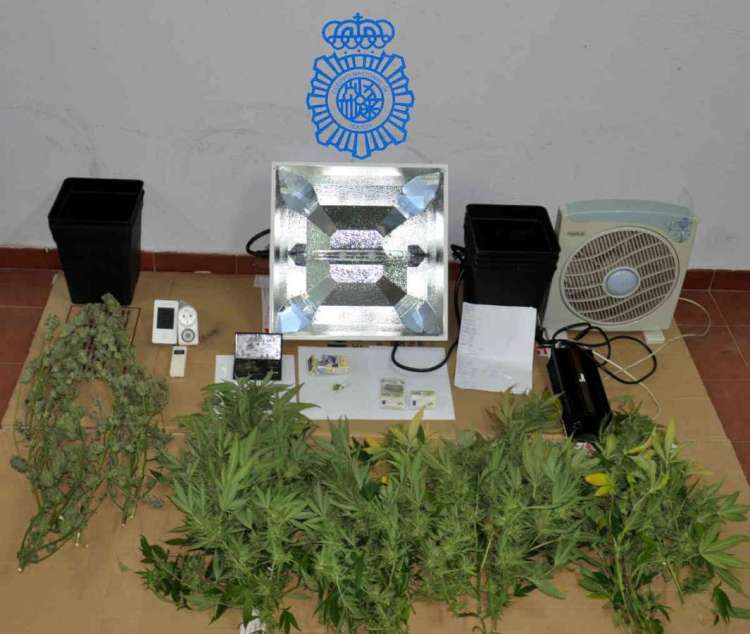 Alijo incautado en Béjar