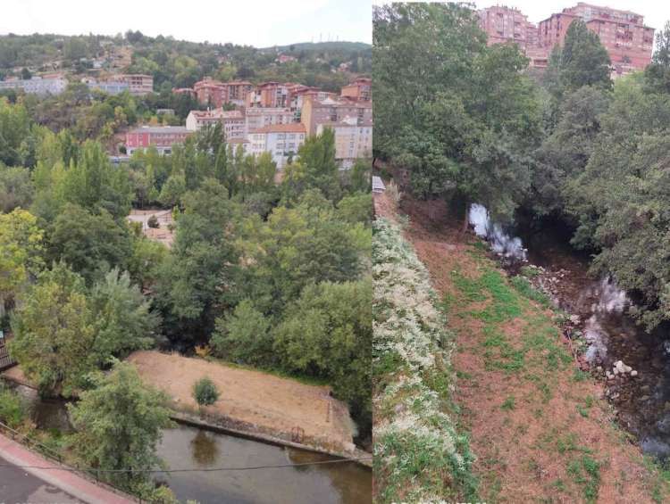 Imagenes del paseo y La Aliseda. FB Ciudadanos