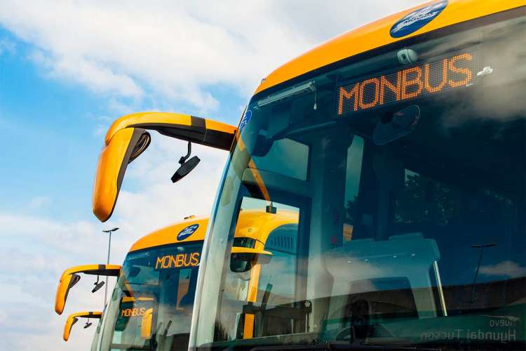 Vista parcial de varios autocares de la compañía Monbus