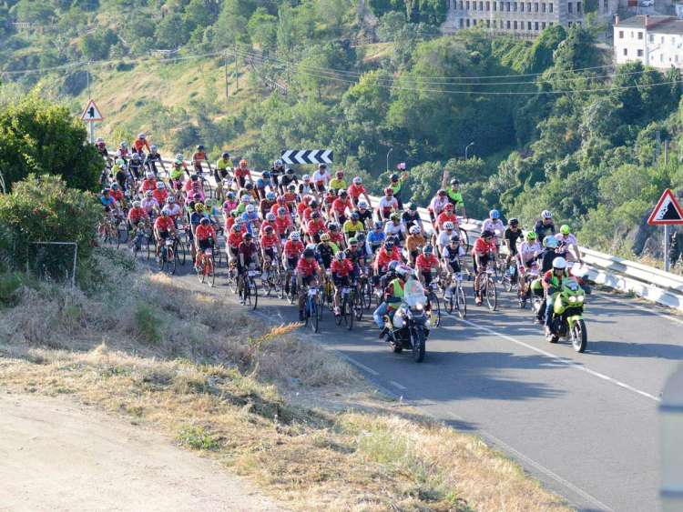 Pelotón ciclista en la Marcha Bedelalsa 2019