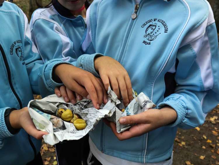 alumnos con calbotes