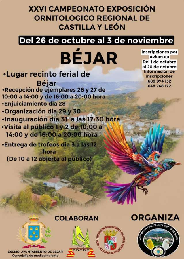 Cartel XXVI Campeonato Regional de Ornitología de Castilla y León