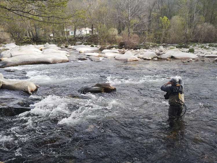 Campeonato Castilla y León de pesca de salmónidos