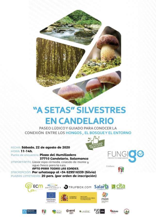 Cartel anunciador de la actividad