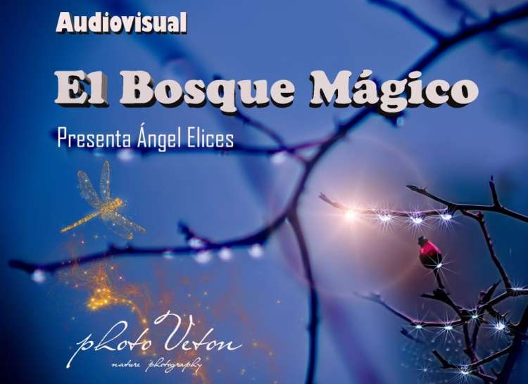 Cartel anunciador de la actividad