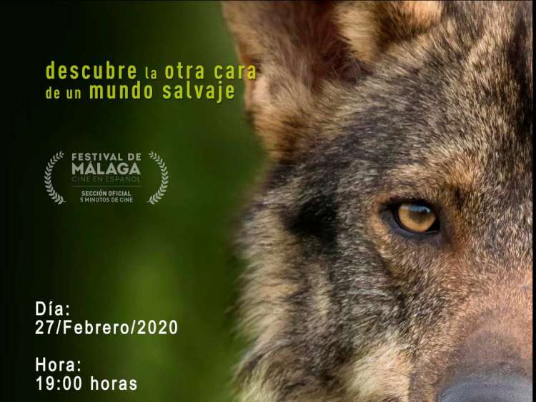 Vista parcial del Cartel anunciador de la actividad