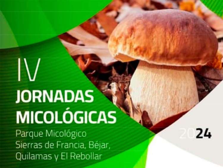 Cartel IV Jornadas Micológicas Sierras de Francia, Béjar, Quilamas y El Rebollar
