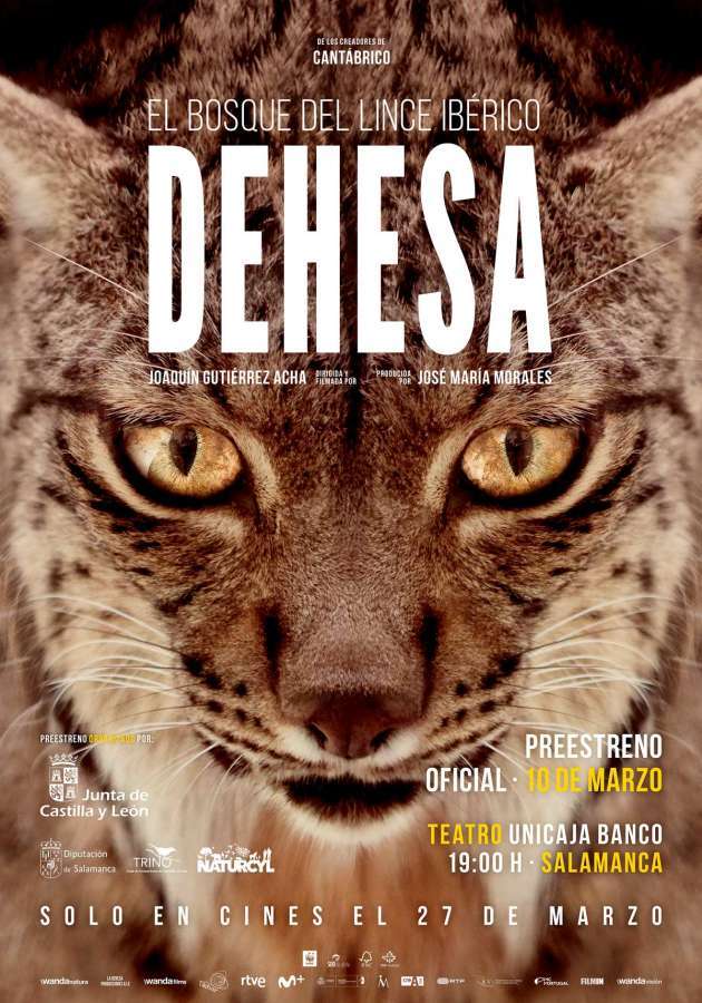 Cartel anunciador de la actividad