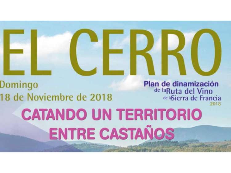 Cartel anunciador de la actividad