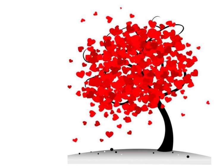 Imagen del díptico de las jornadas