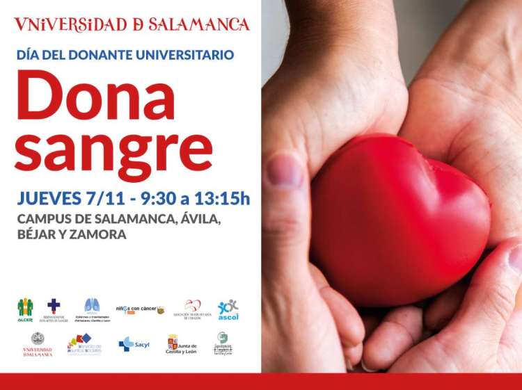 Cartel anunciador de la actividad