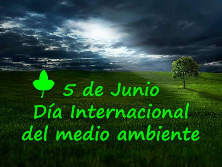 Día Internacional del Medio Ambiente