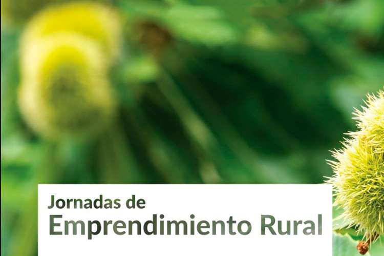 Vista parcial del Cartel anunciador de la actividad