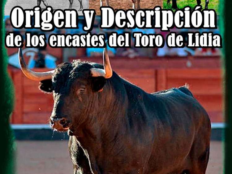 Vista parcial del Cartel anunciador de la actividad