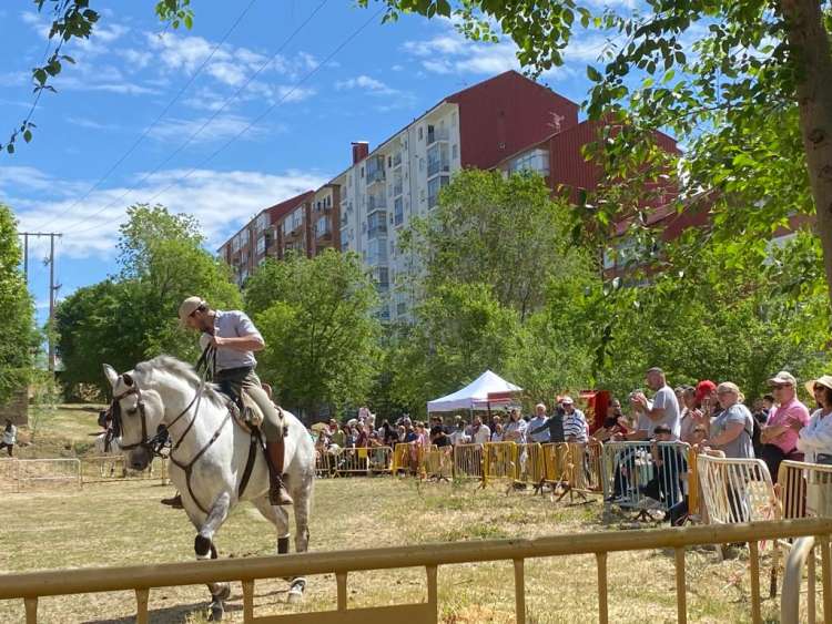 Feria de ganado en el Teso de la feria de Béjar