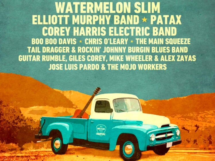 Vista Parcial del Cartel del XX Festival de Blues