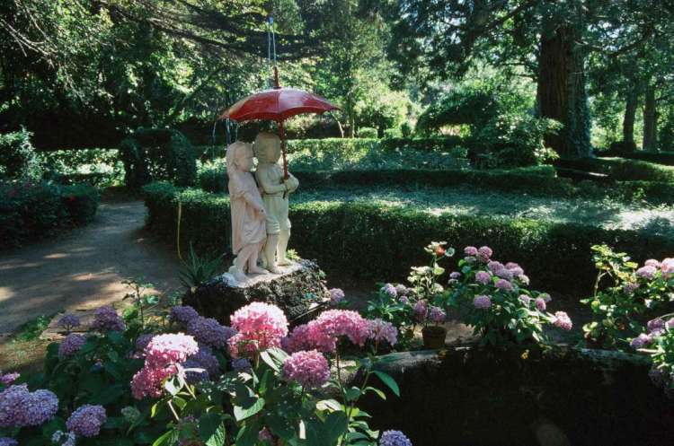 Fuente de El Paraguas, Bosque de Béjar