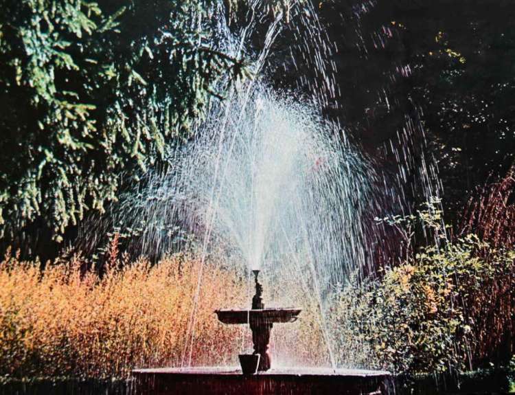 Surtidor central de la ría