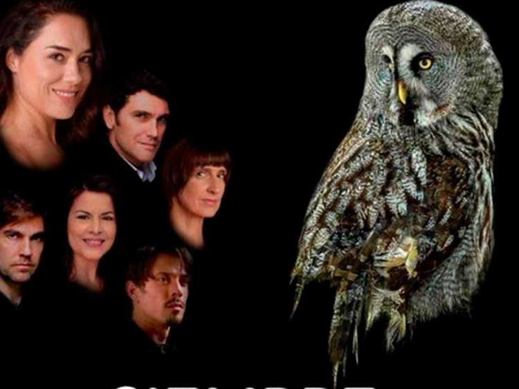 Cartel Garufa Teatro