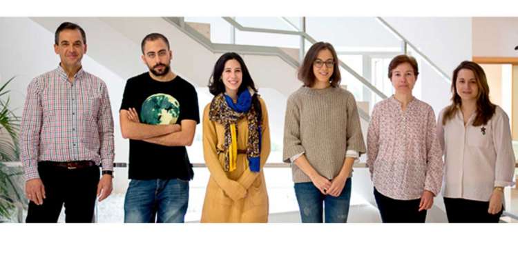 Grupo de investigación del Centro de Investigación del Cáncer CIC-IBMCC