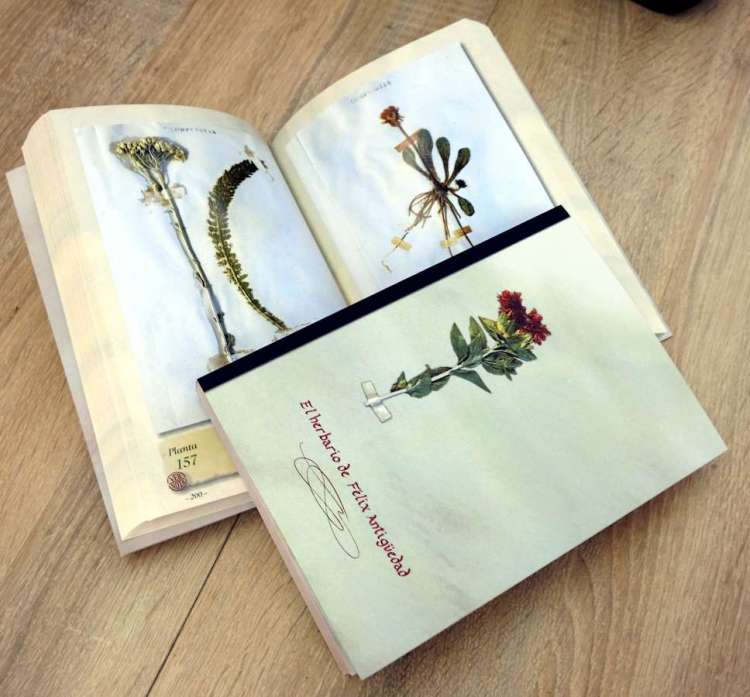 Libro El herbario de Félix Antigüedad