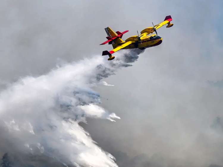 Hidroavión descargando agua sobre zona boscosa