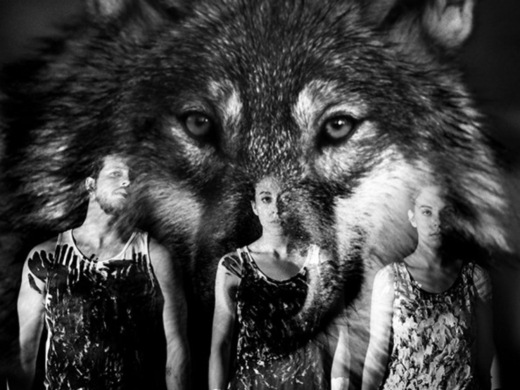 Vista parcial del Cartel anunciador de la actividad