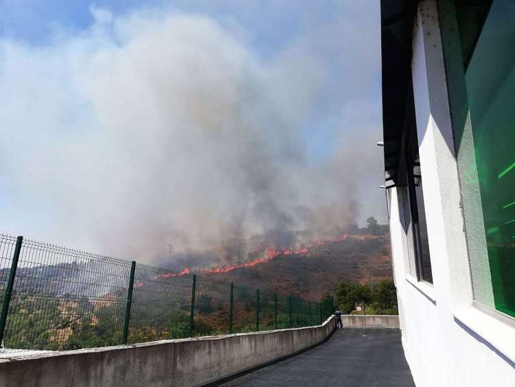 Vista del frente del incendio