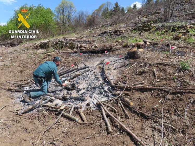 Vista parcial del incendio forestal en Puerto de Béjar causado por una quema negligente