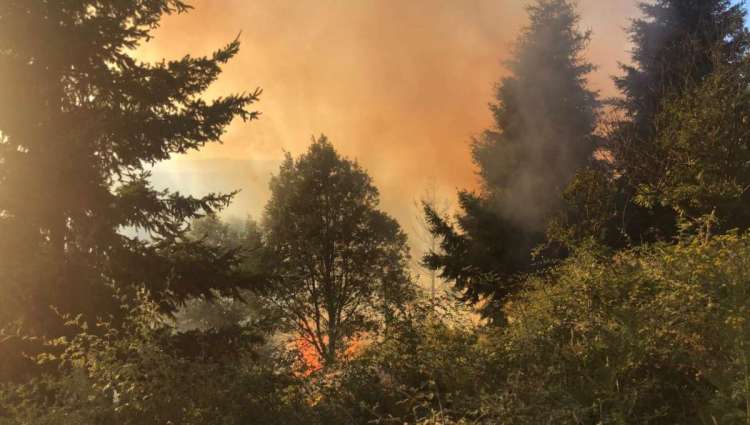Labores de extinción del incendio en Puerto de Béjar- La Garganta