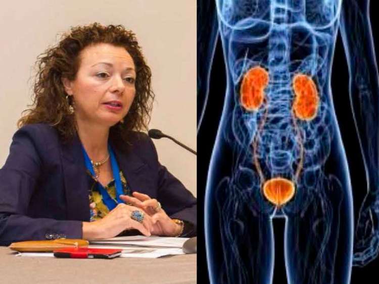 Ponente y gráfico del cartel anunciador