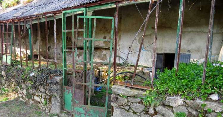 Invernadero de El Bosque