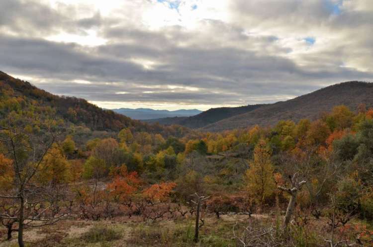 San Martín del Castañar es uno de los regulares destinos de lso campamentos de la Diputación 