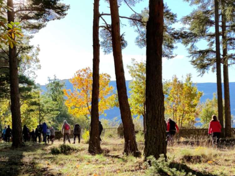 Imagen perteneciente al cartel de la Marcha de Otoño 2022 en Béjar