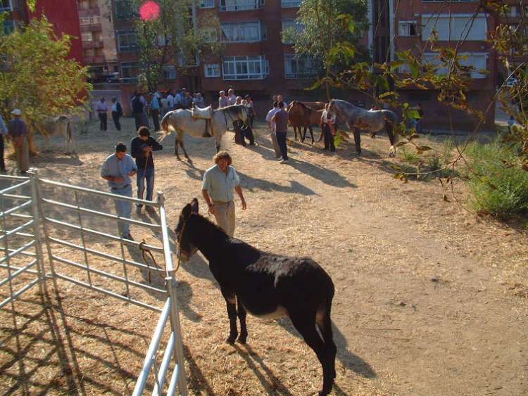 Imagen de archivo del Mercado de Ganado de 2011