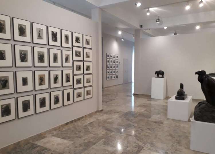Museo Mateo Hernández