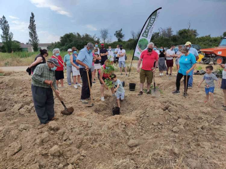 Varias personas plantando arboles